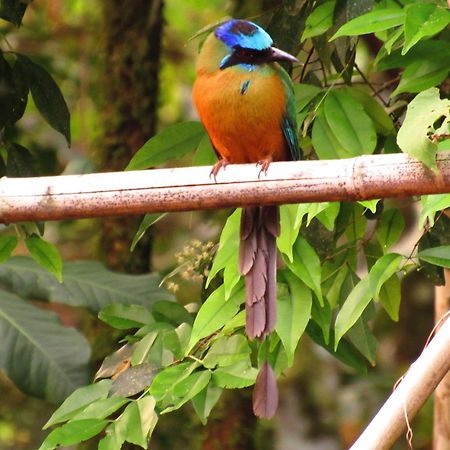 Cantos Da Mata Chapada dos Guimarães 외부 사진