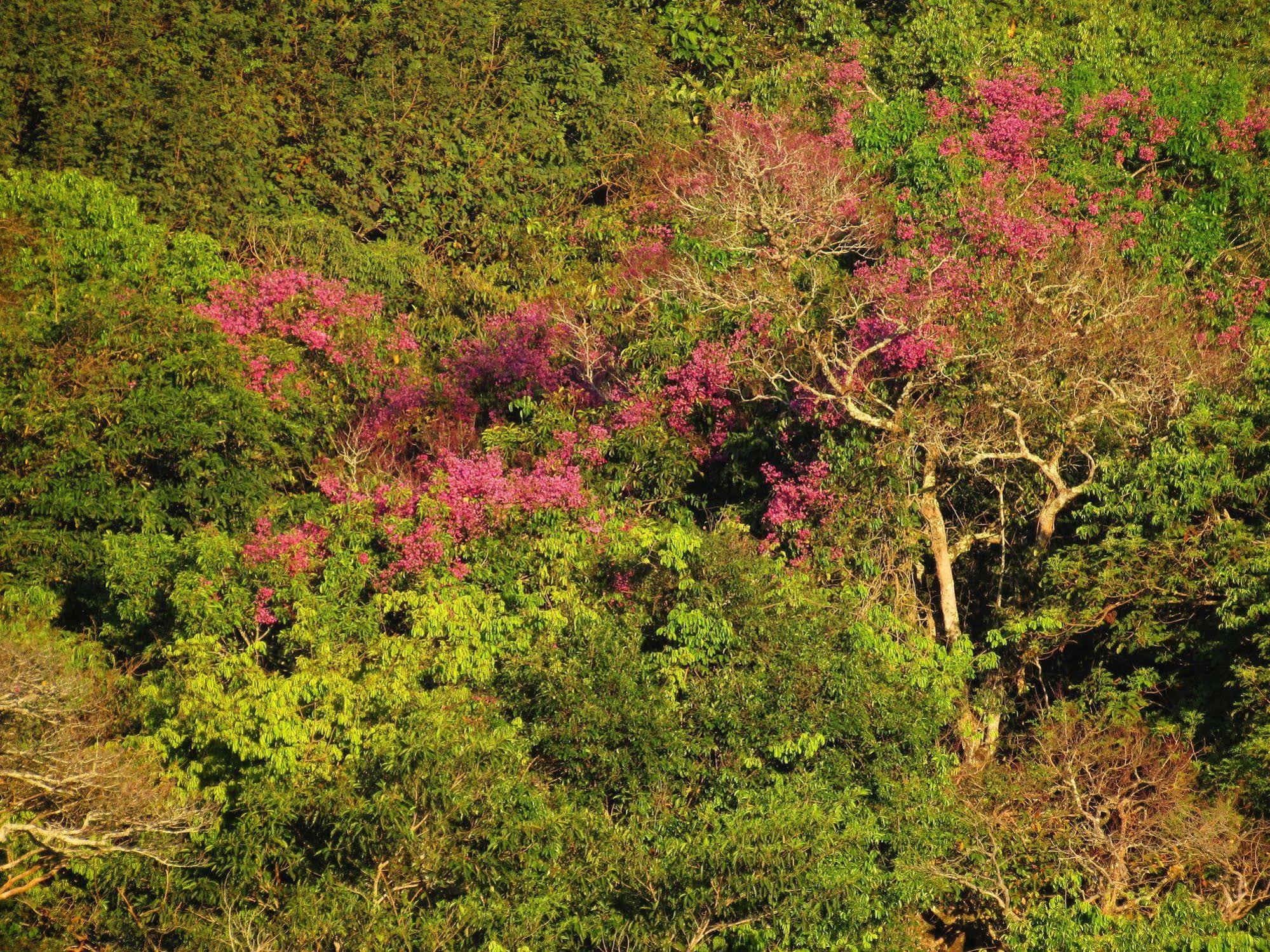 Cantos Da Mata Chapada dos Guimarães 외부 사진
